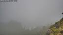 ./images/calvert/foggy-cove/20260731/foggy-cove20260731_081502M.jpg