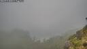 ./images/calvert/foggy-cove/20260731/foggy-cove20260731_082002M.jpg