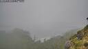./images/calvert/foggy-cove/20260731/foggy-cove20260731_082501M.jpg