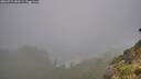 ./images/calvert/foggy-cove/20260731/foggy-cove20260731_083501M.jpg