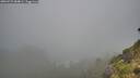 ./images/calvert/foggy-cove/20260731/foggy-cove20260731_084001M.jpg