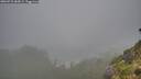 ./images/calvert/foggy-cove/20260731/foggy-cove20260731_084501M.jpg