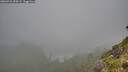 ./images/calvert/foggy-cove/20260731/foggy-cove20260731_090501M.jpg