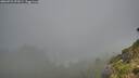 ./images/calvert/foggy-cove/20260731/foggy-cove20260731_091001M.jpg