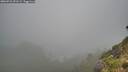 ./images/calvert/foggy-cove/20260731/foggy-cove20260731_091502M.jpg