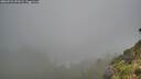 ./images/calvert/foggy-cove/20260731/foggy-cove20260731_092001M.jpg