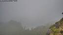 ./images/calvert/foggy-cove/20260731/foggy-cove20260731_092501M.jpg