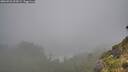 ./images/calvert/foggy-cove/20260731/foggy-cove20260731_093001M.jpg