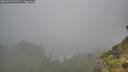 ./images/calvert/foggy-cove/20260731/foggy-cove20260731_093502M.jpg