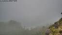 ./images/calvert/foggy-cove/20260731/foggy-cove20260731_094001M.jpg