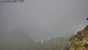 ./images/calvert/foggy-cove/20260731/foggy-cove20260731_094501M.jpg