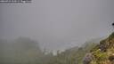 ./images/calvert/foggy-cove/20260731/foggy-cove20260731_105501M.jpg