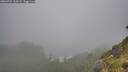 ./images/calvert/foggy-cove/20260731/foggy-cove20260731_110501M.jpg