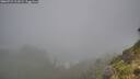 ./images/calvert/foggy-cove/20260731/foggy-cove20260731_111001M.jpg