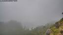 ./images/calvert/foggy-cove/20260731/foggy-cove20260731_111501M.jpg