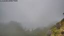 ./images/calvert/foggy-cove/20260731/foggy-cove20260731_112001M.jpg