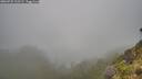 ./images/calvert/foggy-cove/20260731/foggy-cove20260731_112501M.jpg