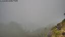./images/calvert/foggy-cove/20260731/foggy-cove20260731_113001M.jpg