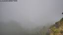 ./images/calvert/foggy-cove/20260731/foggy-cove20260731_113501M.jpg