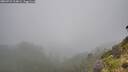 ./images/calvert/foggy-cove/20260731/foggy-cove20260731_114001M.jpg