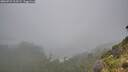 ./images/calvert/foggy-cove/20260731/foggy-cove20260731_114501M.jpg