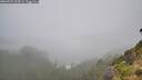 ./images/calvert/foggy-cove/20260731/foggy-cove20260731_115001M.jpg