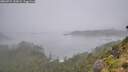 ./images/calvert/foggy-cove/20260731/foggy-cove20260731_120001M.jpg