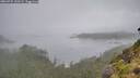 ./images/calvert/foggy-cove/20260731/foggy-cove20260731_120501M.jpg
