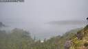 ./images/calvert/foggy-cove/20260731/foggy-cove20260731_121501M.jpg