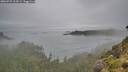 ./images/calvert/foggy-cove/20260731/foggy-cove20260731_125501M.jpg