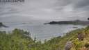 ./images/calvert/foggy-cove/20260731/foggy-cove20260731_130501M.jpg