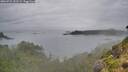 ./images/calvert/foggy-cove/20260731/foggy-cove20260731_131501M.jpg