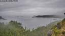 ./images/calvert/foggy-cove/20260731/foggy-cove20260731_132501M.jpg
