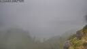 ./images/calvert/foggy-cove/20260731/foggy-cove20260731_134001M.jpg