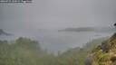 ./images/calvert/foggy-cove/20260731/foggy-cove20260731_141002M.jpg