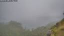 ./images/calvert/foggy-cove/20260731/foggy-cove20260731_144001M.jpg