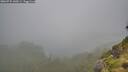 ./images/calvert/foggy-cove/20260731/foggy-cove20260731_144501M.jpg