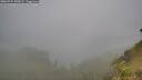 ./images/calvert/foggy-cove/20260731/foggy-cove20260731_145001M.jpg