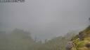 ./images/calvert/foggy-cove/20260731/foggy-cove20260731_150501M.jpg