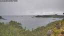 ./images/calvert/foggy-cove/20260731/foggy-cove20260731_161001M.jpg