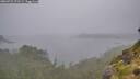 ./images/calvert/foggy-cove/20260731/foggy-cove20260731_171501M.jpg