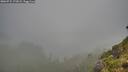 ./images/calvert/foggy-cove/20260731/foggy-cove20260731_173001M.jpg
