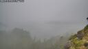 ./images/calvert/foggy-cove/20260731/foggy-cove20260731_173502M.jpg