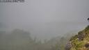 ./images/calvert/foggy-cove/20260731/foggy-cove20260731_174001M.jpg