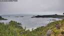 ./images/calvert/foggy-cove/20260801/foggy-cove20260801_083001M.jpg