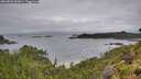 ./images/calvert/foggy-cove/20260801/foggy-cove20260801_092001M.jpg