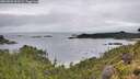 ./images/calvert/foggy-cove/20260801/foggy-cove20260801_093502M.jpg