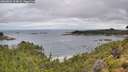 ./images/calvert/foggy-cove/20260801/foggy-cove20260801_104001M.jpg