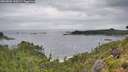 ./images/calvert/foggy-cove/20260801/foggy-cove20260801_120501M.jpg