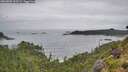 ./images/calvert/foggy-cove/20260801/foggy-cove20260801_122501M.jpg